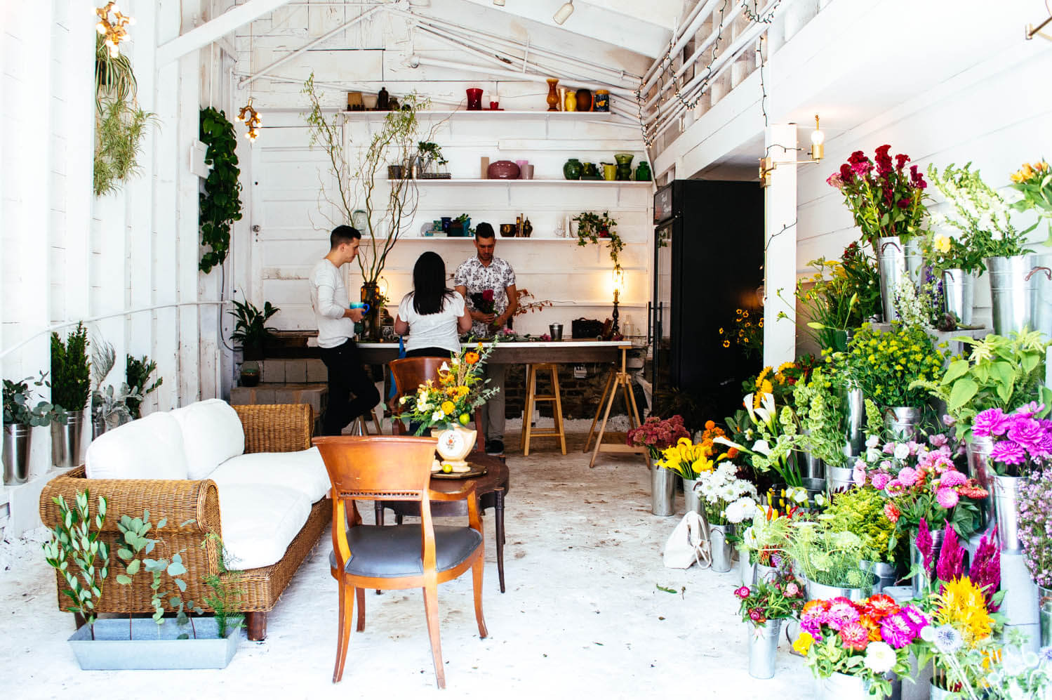 My flower shop